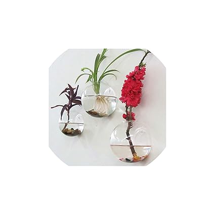 Transparent Glass Vase Hydroponic Flower Holder Fish Bowl Shaped