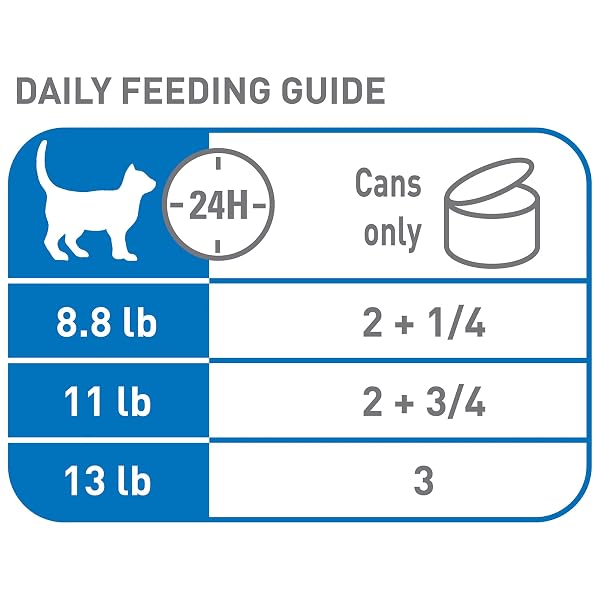 ROYAL CANIN FELINE HEALTH NUTRITION INDOOR ADULT MORSELS IN GRAVY CAT FOOD, 3 OZ (PACK OF 12)