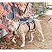 Peak Pooch - No-Pull Dog Harness - Padded, Mesh Fabric Dog Vest with Reflective Trim, Lifting Handles and Buckle Straps - Black Dog Harness - L