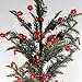 Impress Life Christmas Lights String, Floral Flower Poinsettia Silver Plated Wire 10 ft 50 LEDs with Remote for Covered Outdoor, Thanksgiving, Tent Wedding, Birthday Parties, DIY Home Decorations