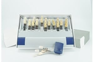 GENERIC Dental Shade Guide 3D Master | 29 Colors Including Bleaching Shades for Veneers & Esthetics | Professional Tooth Color Matching Tool for Accurate Dental Shade Selection