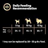 Cesar Premium Dog Wet Food Garden Terrine Loaf Lamb Turkey Green Beans 8x150g view 5