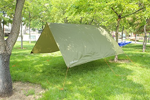 theBlueStone Rain Tarp Shelter in 10 x 10 FT for Canopy Double Hammock Outdoor Camping, Ripstop Rain Fly (Army Green)