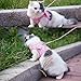 Adorable Cat Dog Kitty Puppy Safety Walking Vest Harness Leash Set Wings Costume Lace Peals (Pink, Medium)