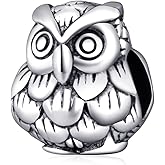 Choruslove Halloween charms 925 Sterling Silver Mask, Owl, Witch Beads Suitable for European Bracelet, Gifts for Women/Men