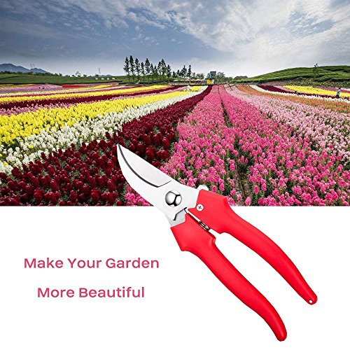 Ebaco Professional Sharp Bypass Pruning Shears, Tree Trimmers Gardening Scissors,Hand Pruner, Garden Shears,Clippers For The Garden. â€¦ (Pruning Shears)