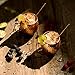 Copper Mugs Moscow Mule Set of 2 – 100% Real Pure Hammered Copper│16oz│2 Premium Drinking Copper Cups + 2 Solid Copper Straws + 2 Wooden Coasters + 1 Shot Glass & Recipe Book in the Deluxe Gift Box