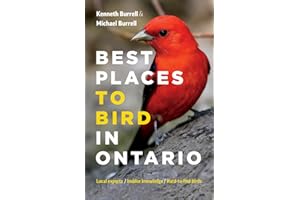 Best Places to Bird in Ontario