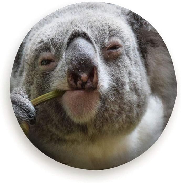 Spare Tire Cover Koala Looking Into Camera While Eating Animals Wildlife Polyester Water Proof Dust-Proof Universal Spare Wheel Tire Cover Fit For Jeep,Trailer, Rv, Suv And Many Vehicle (14,15,16,17 I