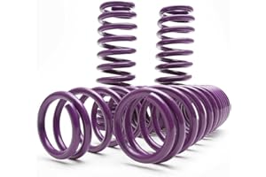 D2 RACING SPORTS D2 PRO Lowering Springs (11+ Charger / 300C RWD.)