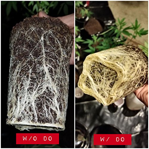Dissolved Oxygen for Hydroponics and Soil Gardens, Natural Growth Stimulator for Healthy Roots, One Step Rooting Nutrients Solution for Your Hydro Farm, Use for Clipping Starter Clone, Cloner Supplies - Thumbnail 4