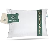 ComfyDown Goose Down Travel Pillow - Filled with 800 Fill Power European Goose Down, Egyptian 300 Thread Count 100% Cotton Cover for Plane car & Home - Made in USA (12x16)