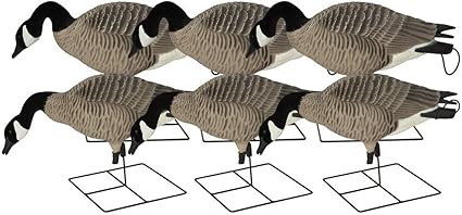 Amazon Com Ghg Xd Series Pro Grade Canada Feeder Pack Of 6