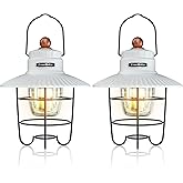 EverBrite LED Camping Lantern Pack of 2, USB C Rechargeable Lantern with 3 Light Modes, Vintage Outdoor Lanterns with Power Bank Function for Power Outages, Hurricane, Emergency, Fishing