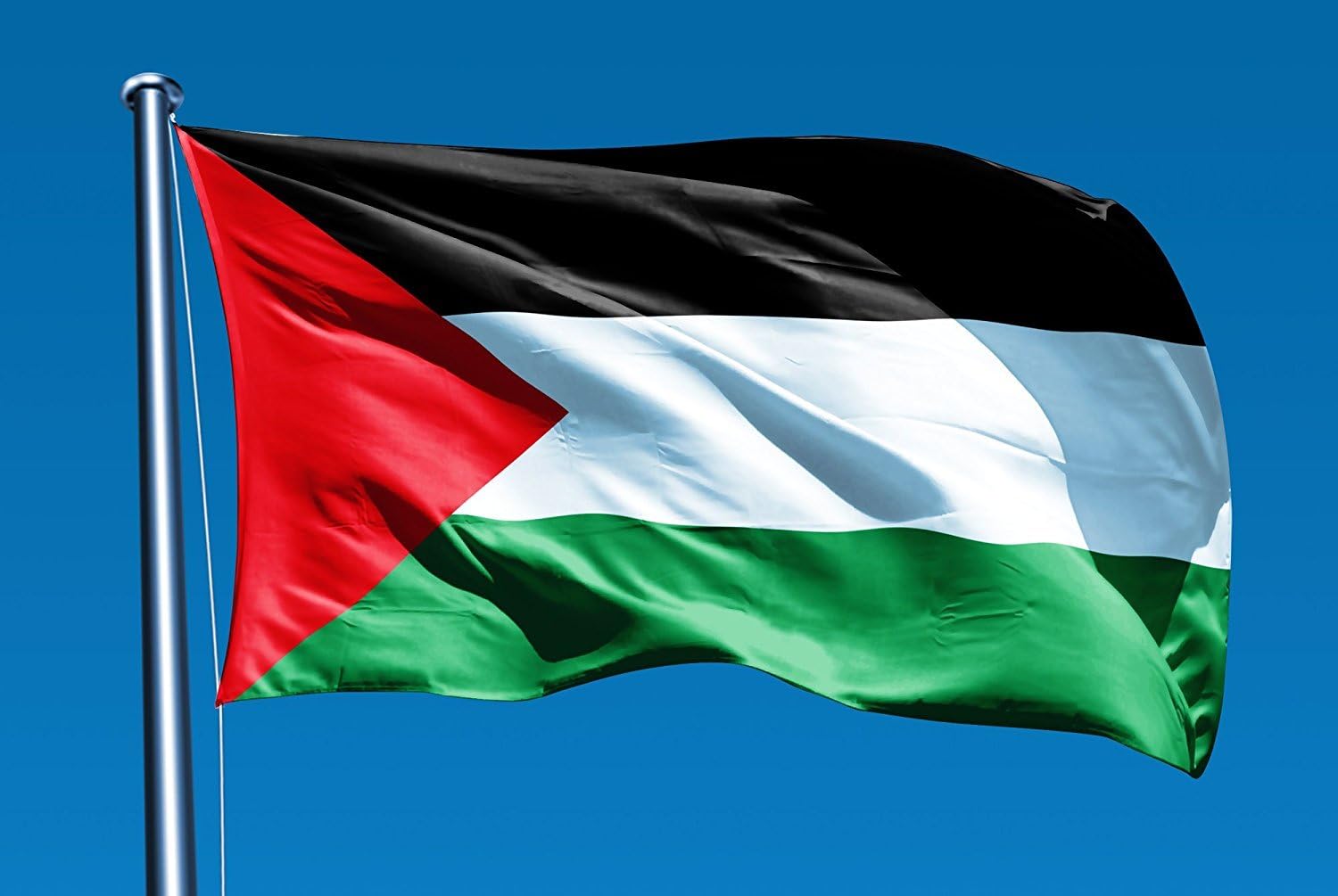 Amazon.com : Flag of Palestine 3x5 ft Flags 3 x 5 Palestinian NEW ...