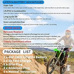 BtrPower 48V Ebike Battery 48V 18AH LiFePO4 Battery