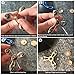 Fidget Spinner Figit Toy - Kids Christmas Gifts Boys And Girls Gifts For Christmas By Ezoon