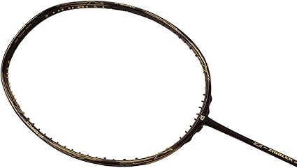 apacs z ziggler amazon