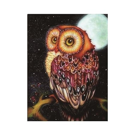 Felicove 5D Diamant Full Eule DIY Stickerei Painting Kreuz Stich Diamond Dekoration