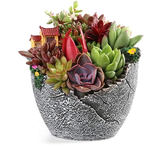 Amazon Co Jp 多肉植物寄せ植え鉢 ガーデンホームデコレーション樹脂工場肉質ハーブフラワーポット小さな家バスケット 林業 園芸用 家庭用 色 グレー Size One Size ホーム キッチン Amazon Co Jp 多肉植物寄せ植え鉢 ガーデンホームデコレーション樹脂工場肉質ハーブフラワーポット小さな家バスケット 林業 園芸用 家庭用 色 グレー Size One Size ホーム キッチン