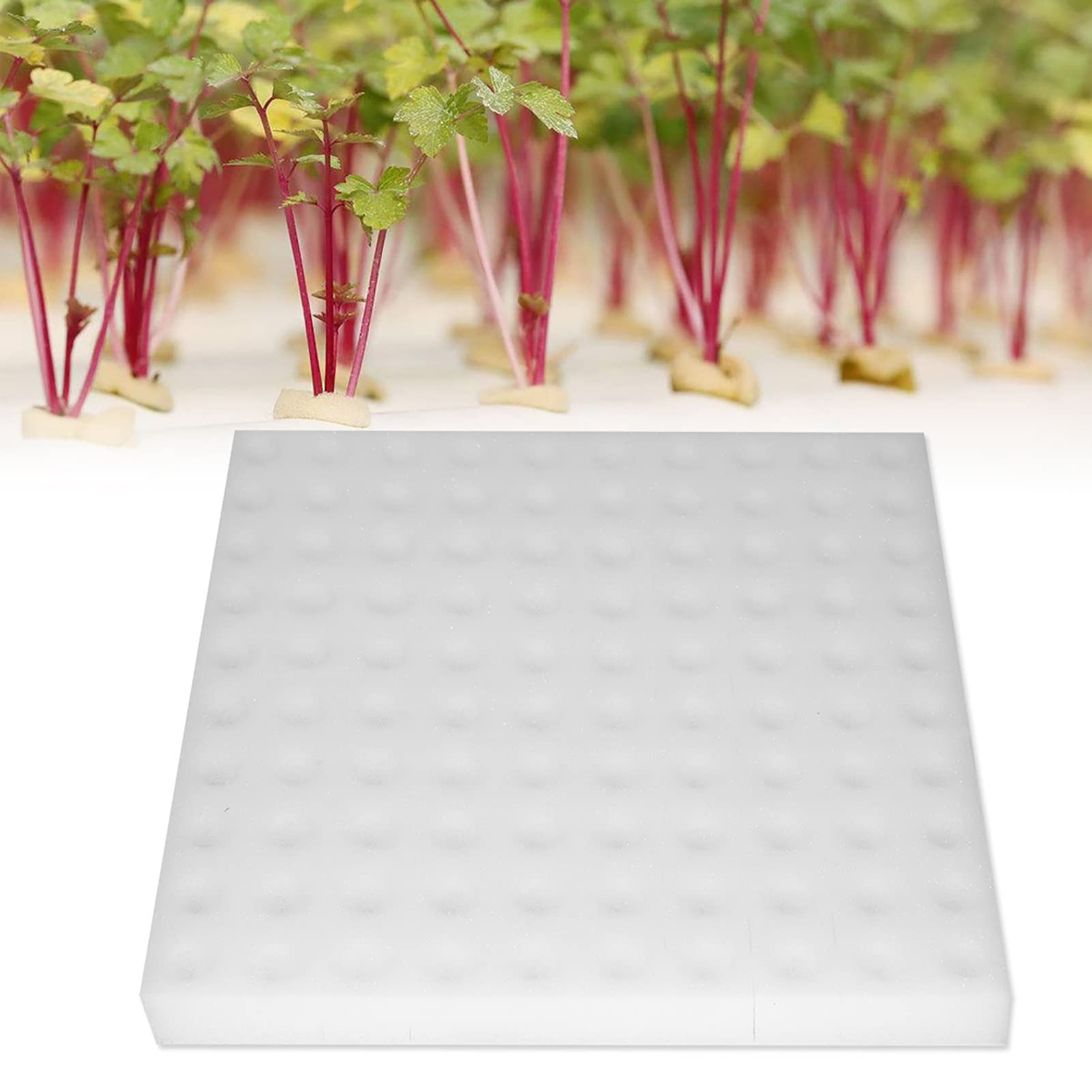 Tbest Hydroponic gardening tool: 100pcs seedling sponges for efficient greenhouse planting