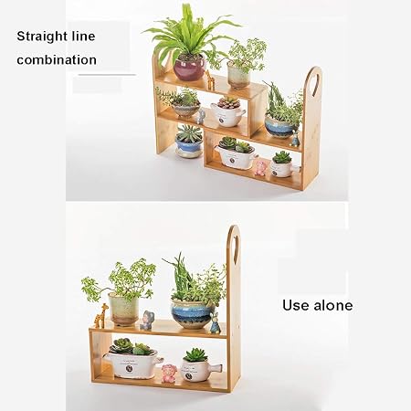 GZ DIY - Estantes de instalación para Plantas y Cactus pequeños y ...