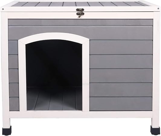 discount cat supplies