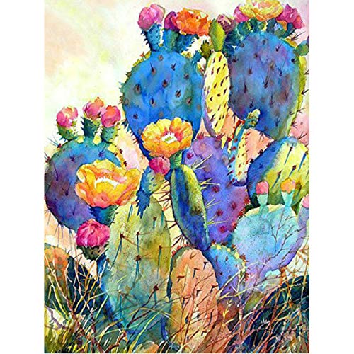 Paint by Number Kits Colorful Cactus 16x20 Inch Linen