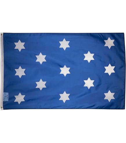 Bandera De 3 X 5 Pulgadas De La Marina De Massachusetts Navy 1775-1777 Pine Tree Washington Cruisers Bandera De 3 X 5 Pies Por Flagman - Foto 10