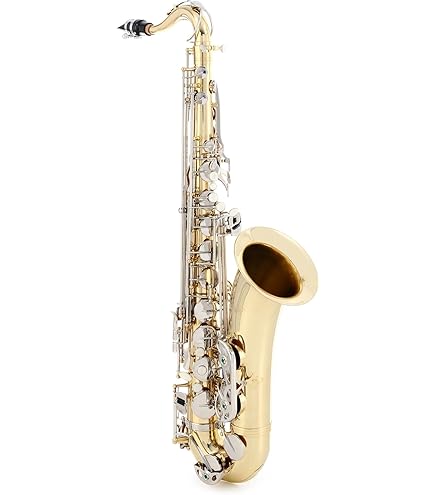 Antigua　Eeldon TenorSAX Amazon.com: Eldon by Antigua Tenor Saxophone (TS-22