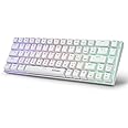 HUO JI Portable 65% Mechanical Gaming Keyboard, E-YOOSO Z-686 Customizable Per-Key RGB Backlit, Compact 68 Keys Mini Wired Office Keyboard with Blue Switch for Windows Laptop PC Mac - White