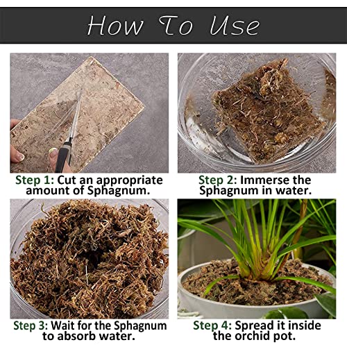 10 OZ Orchid Sphagnum Moss Dried Peat Moss for Potted Plants Mix Soil
