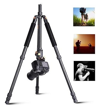 YA Cámara réflex Trípode portátil Estable Multifunción Fotografía ...