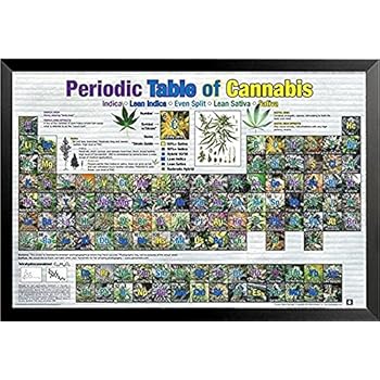 Buyartforless Favolosa tavola Periodica di Cannabis (Weed Marijuana Table) 36 x 24 Art Print Poster educativo Novelty Drug Smoking