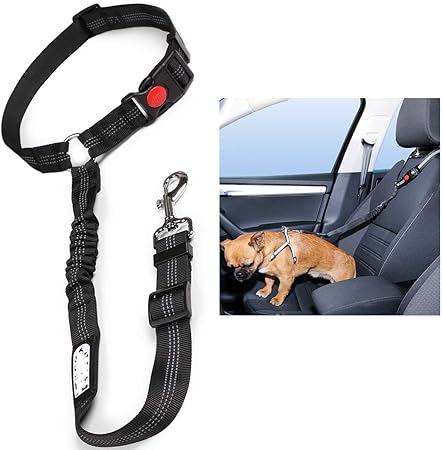 amazon uk dog car harness