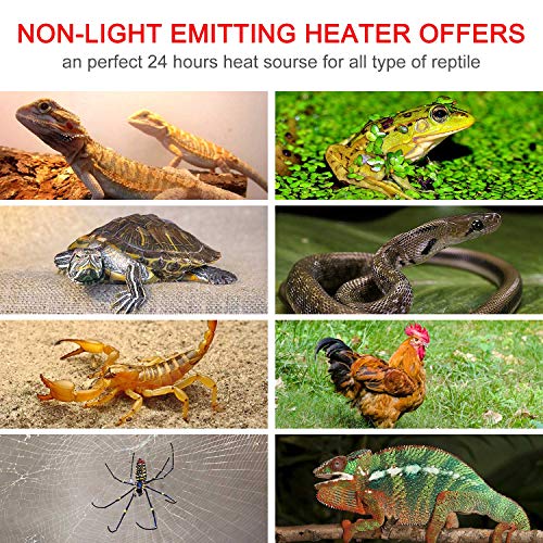 6 Wuhostam+Infrared+Ceramic+Reptile+Aquarium