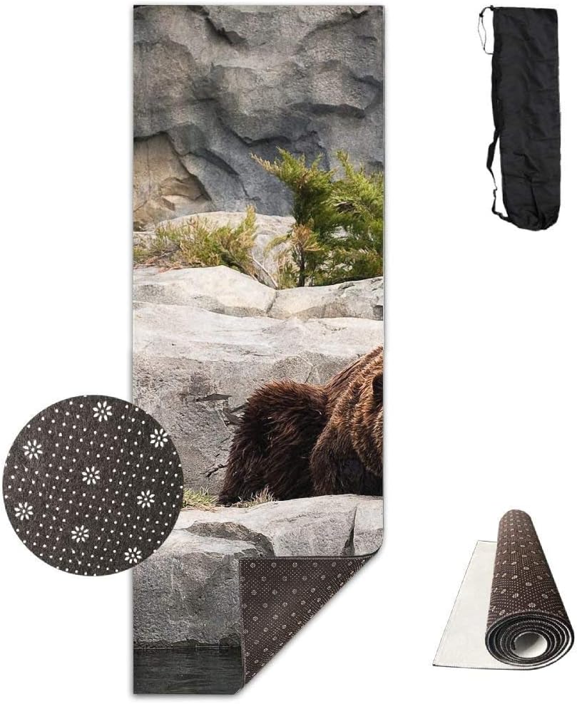 yoga bear mat