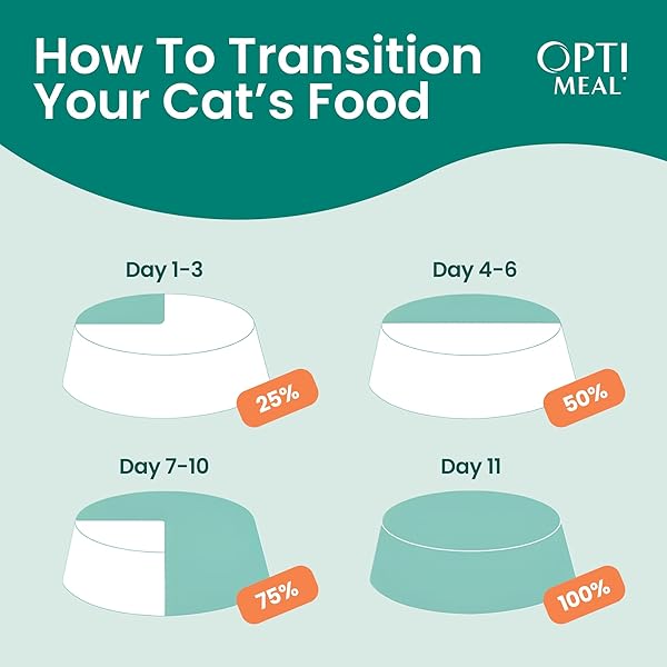 OPTIMEAL GRAIN-FREE WET CAT FOOD POUCHES – BEEF & RABBIT IN SAVORY GRAVY, HIGH PROTEIN & MOISTURE-RICH TENDER MORSELS, INDOOR ADULT CAT FOOD WET WITH NATURAL EUROPEAN INGREDIENTS, 3 OZ (PACK OF 12)