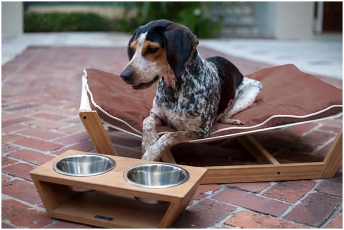 large dog hammock bed