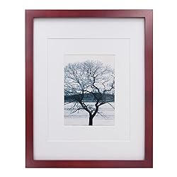 Egofine 11x14 Picture Frame Display Pictures