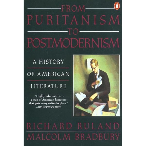 Amazon.com: A History of American Literature: 9781405192286