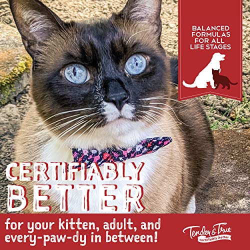 Tender & True AntibioticFree Turkey & Brown Rice Recipe Cat Food, 3