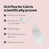 Itch Cat Flea and Wormer Bundle 1kg+ 3 Flea Pipettes 2 Worming Tablets view 4