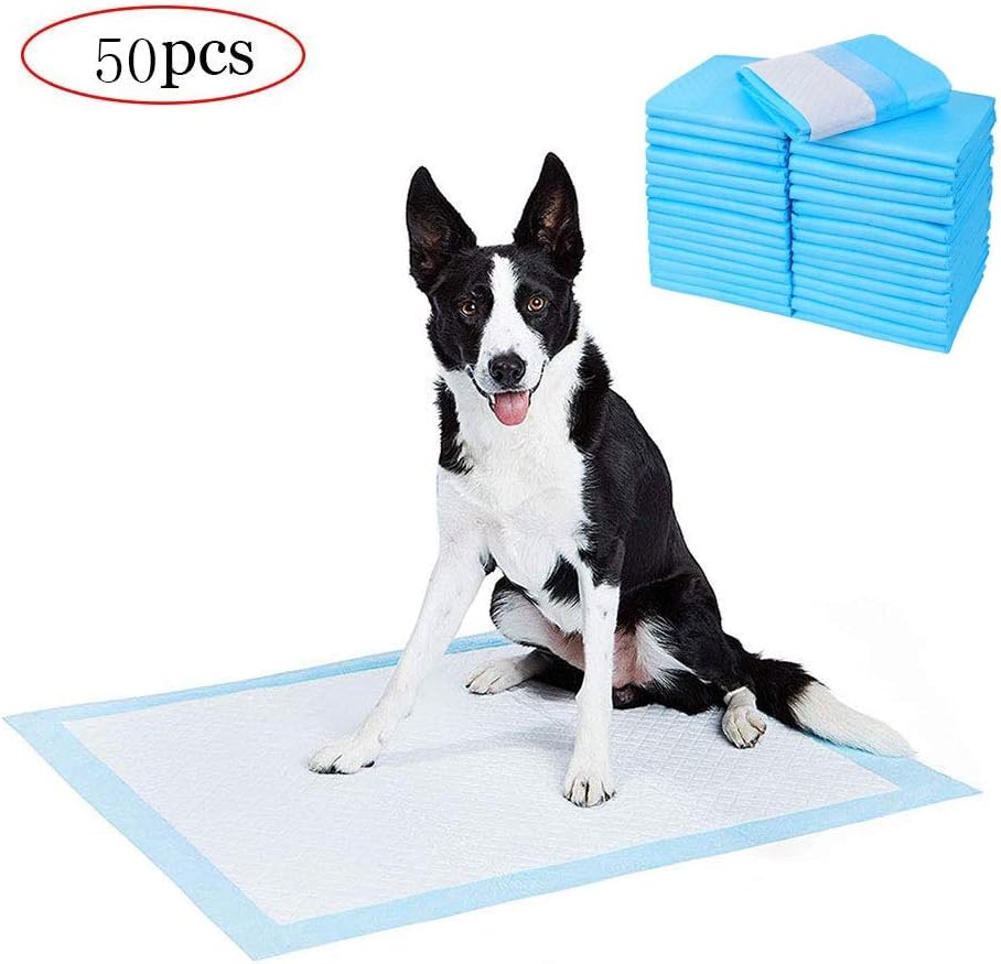 disposable pads for dogs