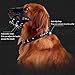 Pawliss Adjustable Anti-Biting Dog Muzzle Leather Brown Large