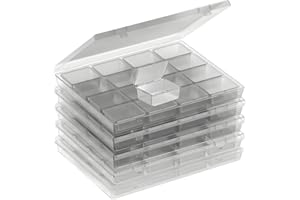 RHONZHAO Bead Storage Container Set, 80 Clear Plastic Bead Organizer Boxes with Hinged Lid - Craft Storage Containers for Small Parts, Jewelry Charms, and Diamond Painting Art (Clear 5 Pack)