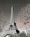 Culturenik Paris Eiffel Tower Blossoms Decorative Photography Travel City Poster Print, Unframed 16x20