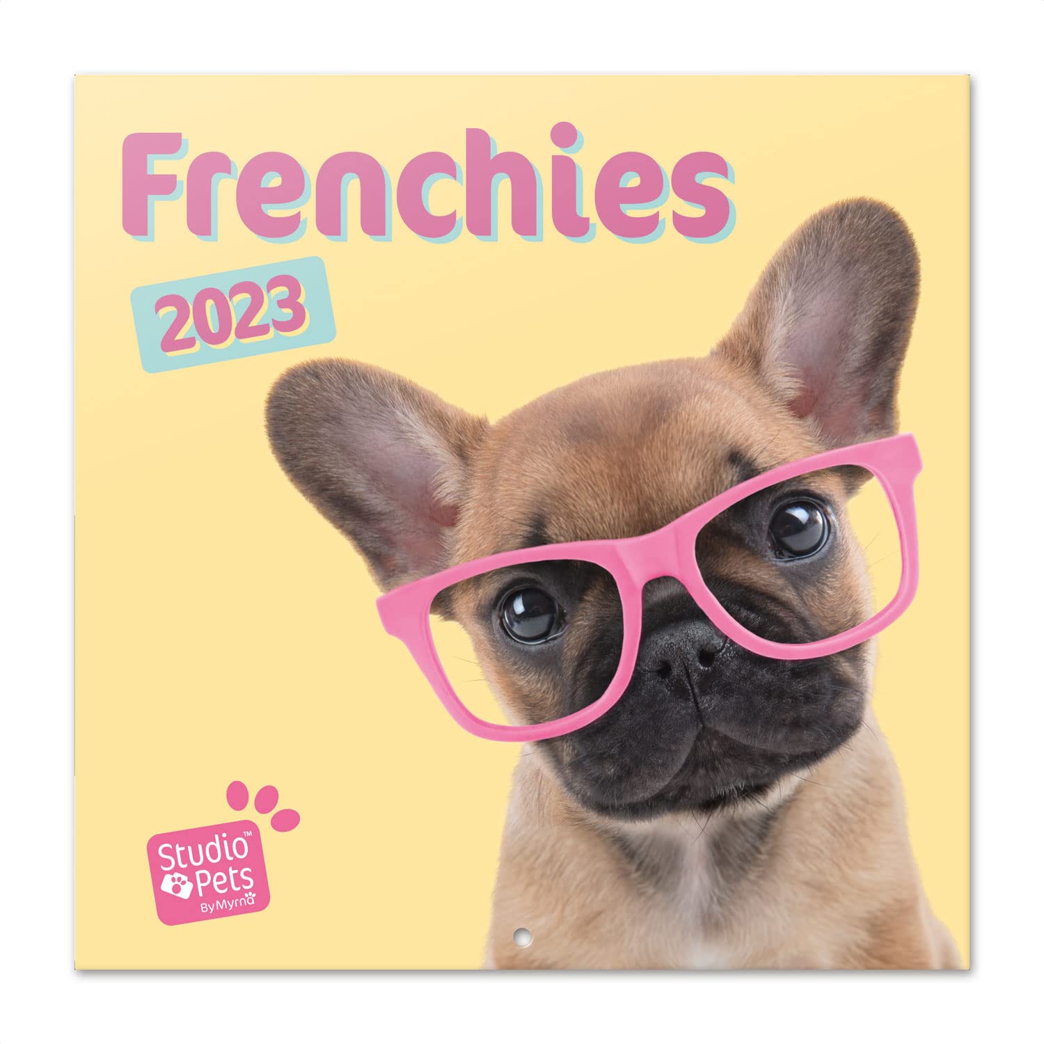 Grupo Erik Studio Pets French Bulldog Wall Calendar 2023 12' x 12' FSC| 12 Month Planner | Square Wall Calendar 2023 | Family Planner Calendar 2023 | Dog Calendar 2023 | + 4 Bonus Months