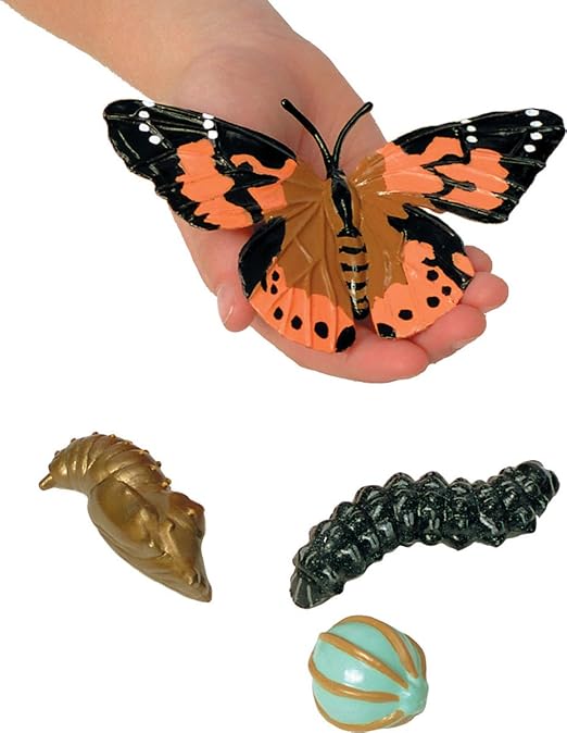 caterpillar to butterfly toy