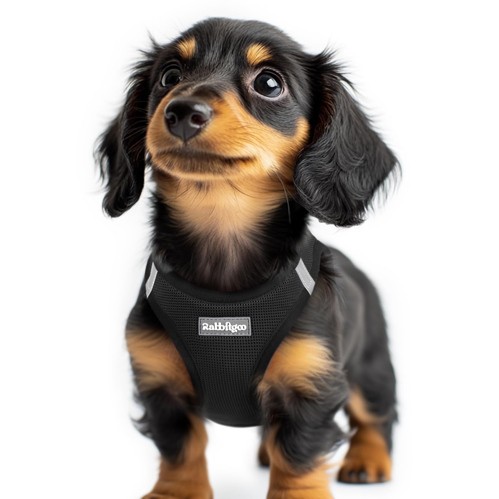 Photo 1 of rabbitgoo Small Dog Harness, Step-in Soft Mesh Puppy Vest with Safety Buckle, Breathable Reflective Pet Harness for Extra Small Dogs, Black XXS